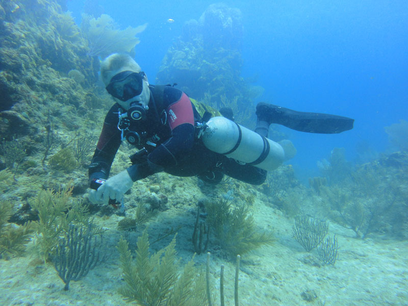 Scuba Diving with Sidemounts
